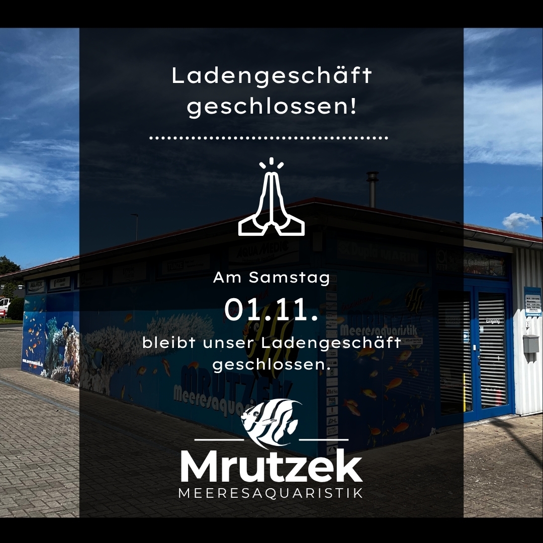 Meeresaquaristik News: Ladengeschäft am 01.11. geschlossen Meeresaquaristik News: Ladengeschäft am 01.11. geschlossen
