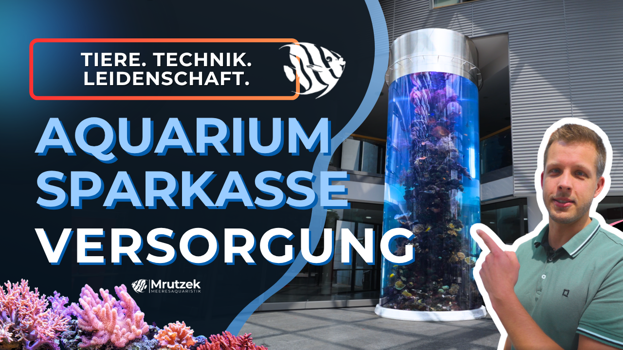 YouTube: 32.000 Liter in der Sparkasse Teil 3