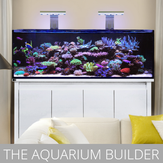 Meeresaquaristik News: D-D Aquarium Builder
