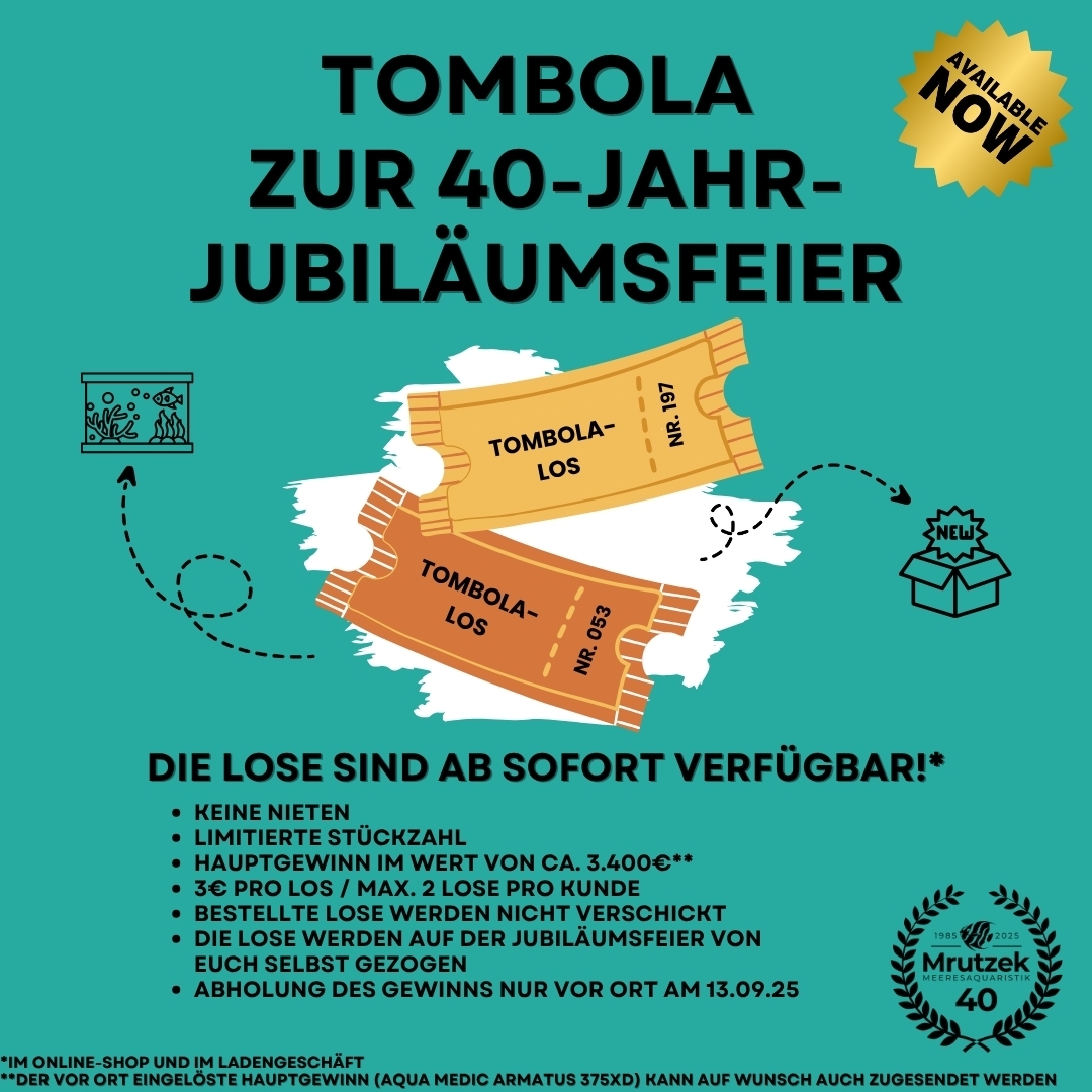 Tombola Lose - ab sofort verfügbar!