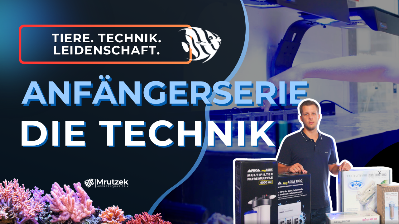 Part 7: Saltwater aquariums for beginners – Additional equipment