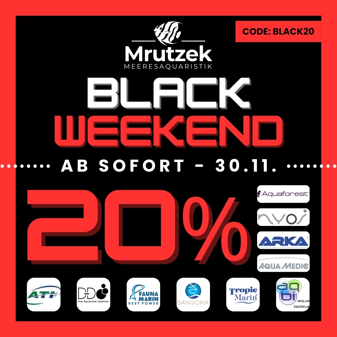 20% Black Friday SALE 2025