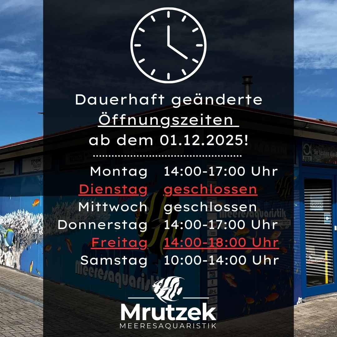 Meeresaquaristik News: Dauerhaft geänderte Öffnungszeiten ab 01.12.25