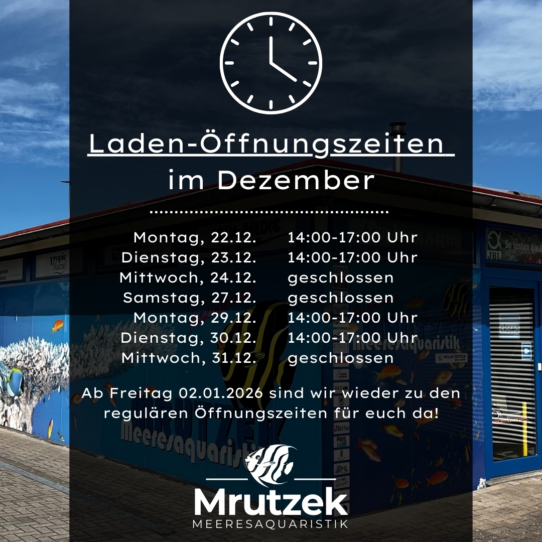 Meeresaquaristik News: Laden-Öffnungszeiten im Dezember