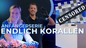 Meeresaquaristik News: Endlich Korallen!