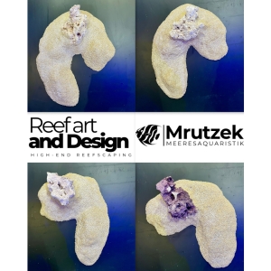 Meeresaquaristik News: NEW: DIY Base von Reef Art and Design