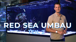 Meeresaquaristik News: YouTube: Aufbau des Red Sea Reefer 425 G3 Meeresaquaristik News: YouTube: Aufbau des Red Sea Reefer 425 G3