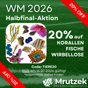 20% off fish, corals & invertebrates
