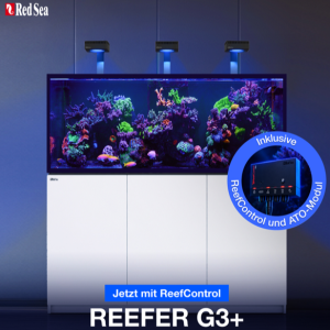 Meeresaquaristik News: NEU: Red Sea Reefer G3+