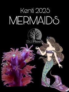 Meeresaquaristik News: Die SciReef A. Kenti MERMAIDS sind da Meeresaquaristik News: Die SciReef A. Kenti MERMAIDS sind da
